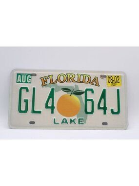 Vintage Florida Lake County License Plate Orange Graphic Decorative Collectible